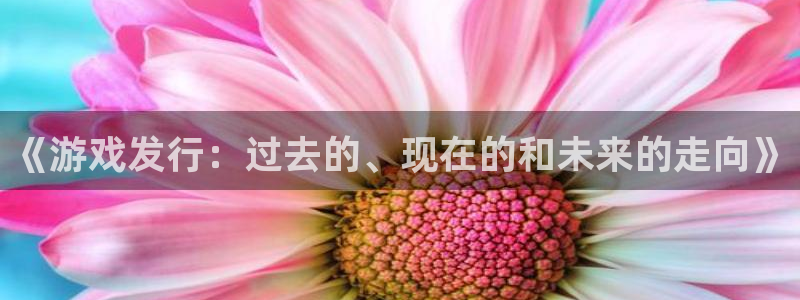 db电竞官网平台怎么样可靠吗：《游戏发行：过去的、现在的和未来的走向》