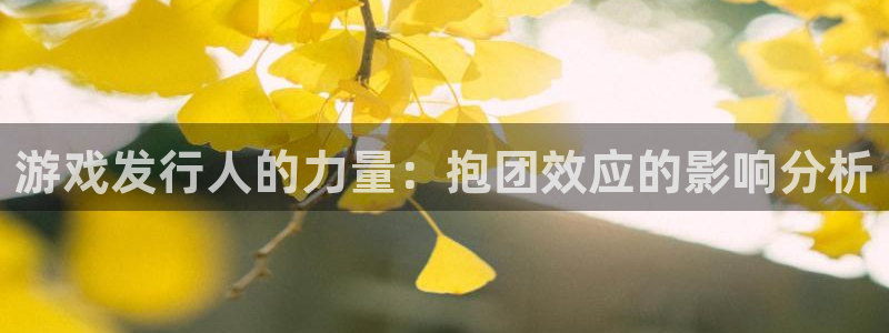 db电竞官网代理注册不了：游戏发行人的力量：抱团效应的影响分析