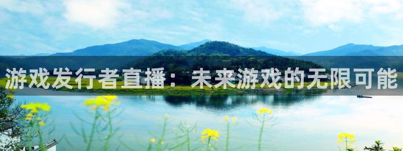 db电竞超纯啤酒怎么样：游戏发行者直播：未来游戏的无限可能