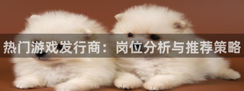 db电竞官网是什么娱乐?：热门游戏发行商：岗位分析与推荐策略