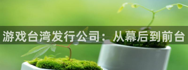 db电竞子代表什么意思：游戏台湾发行公司：从幕后到前台