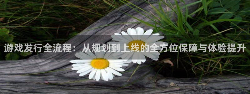 db电竞官网主管联3.7.9.9.7 主管：游戏发行全流程：从规划到上线的全方位保障与体验提升