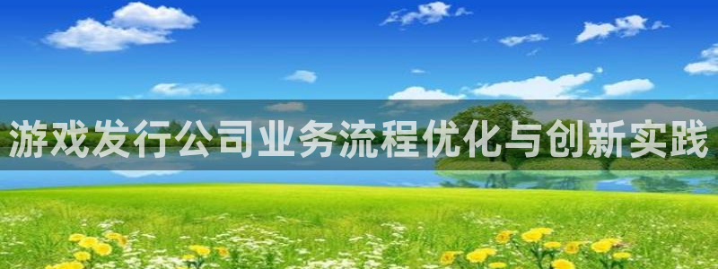 db电竞官网注册方法有哪些：游戏发行公司业务流程优化与创新实践
