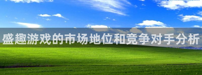 db电竞仓储中心：盛趣游戏的市场地位和竞争对手分析