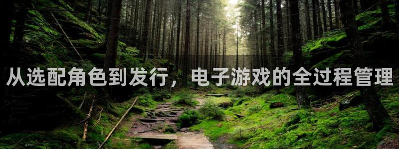 db电竞官网注册方法视频：从选配角色到发行，电子游戏的全过程管理