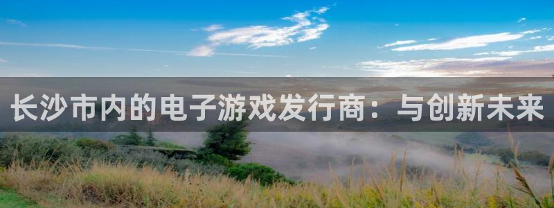 db电竞怪兽：长沙市内的电子游戏发行商：与创新未来