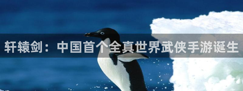 db电竞校服：轩辕剑：中国首个全真世界武侠手游诞生