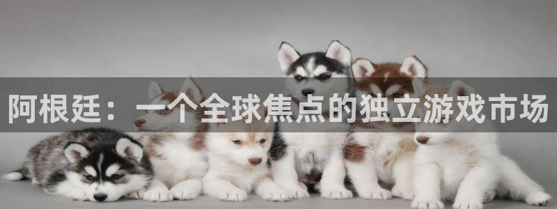 db电竞官网平台会黑款吗：阿根廷：一个全球焦点的独立游戏市场