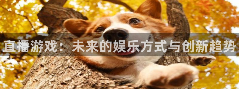 db电竞子股价：直播游戏：未来的娱乐方式与创新趋势