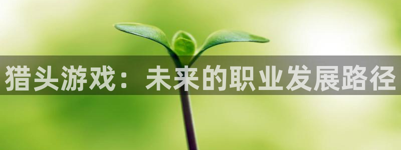 db电竞品牌顾问有限公司：猎头游戏：未来的职业发展路径