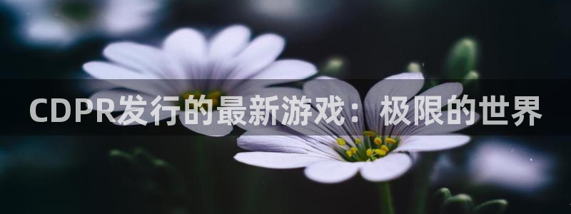 db电竞子图书：CDPR发行的最新游戏：极限的世界