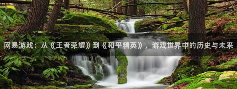 db电竞官网的奇趣腾讯是真的吗：网易游戏：从《王者荣耀》到《和平精英》，游戏世界中的历史与未来