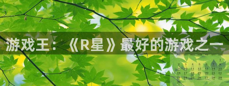 db电竞品牌顾问有限公司