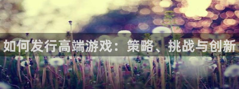 db电竞电子商务有限公司招聘：如何发行高端游戏：策略、挑战与创新